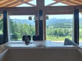 Almtalblick