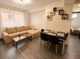 ARKADIA 2 BR APARTMENTs