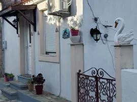 Angelina's House