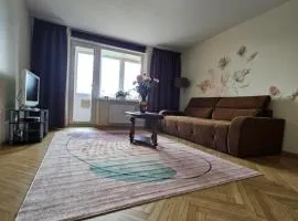 Jaukūs apartamentai Miško kvartale