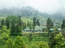 Singell Tea Estate - A CGH Earth Experience