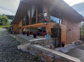 Chalet Alina, hotel en Borşa