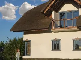 Traditional Ukrainian Thatch House with Modern Luxury