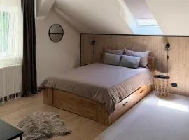Villa Tampa - Free parking in the Old Town Brașov
