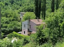 La Raccolta