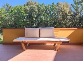 Bolgheri 59
