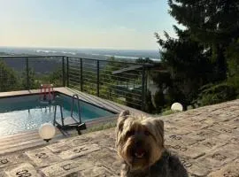 Vila Teja