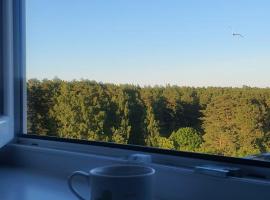 Sunset Bird Watcher Apartament, hotel din Visaginas