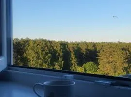 Sunset Bird Watcher Apartament