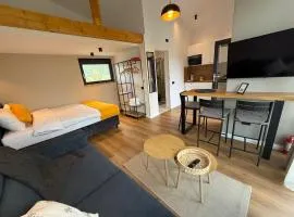 Cozy Cribs Rasnov - Terra Tiny houses retreat