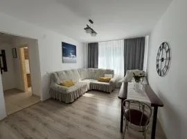 Apartament Central Pietonalul Unirii