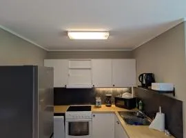 Cozy pet-friendly apartment with parking