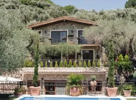 OLIVE QUEEN Rustic Estate