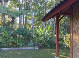 Tereng Wilis Jungle Inn