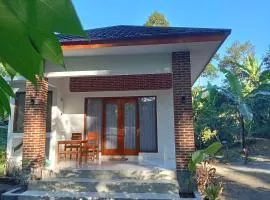 Tereng Wilis Jungle Inn
