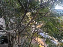 Mirador del Pacará