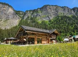 Chalet le Nid independant mountain chalet