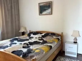 Modern Apartment with Bay View near City Center