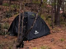 Cantinho da Floresta