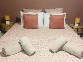 Grand appartement - spacieux- proche gare et centre ville