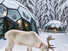SKOG Aurora Glass Igloos, מלון בקאליקס
