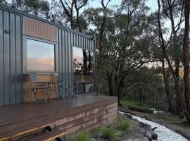 Zenith Tiny Home