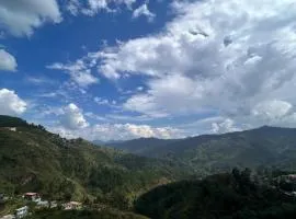 Hotel Almora Palace