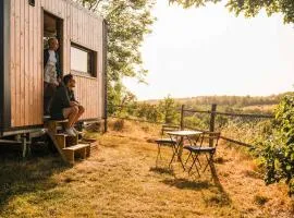 Homnest - Confins des Domes - Volvic & Vulcania