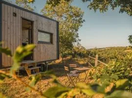 Homnest - Confins des Domes - Volvic & Vulcania