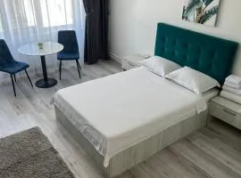 Garsoniera Centru