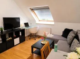 Nivy Loft Apartment AC City Center