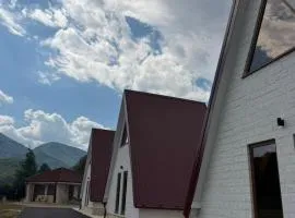 Viaggio Berane