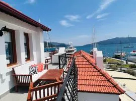 Vista house