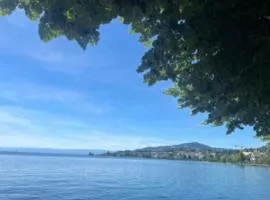 Lake Studio