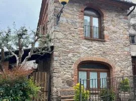 Casa Old Olive