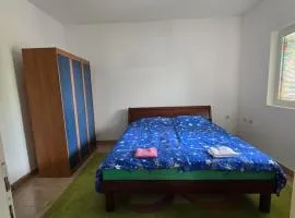 Ninkovic Apartman Free Parking