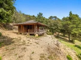 Logement insolite Cabane nichée dans la foret