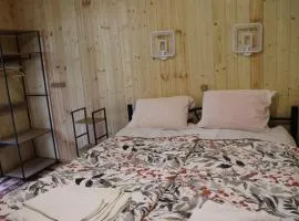 Wooden house