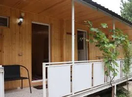 Wooden house