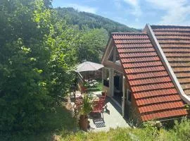 FeWo PacoHaus nähe Willingen Diemelsee