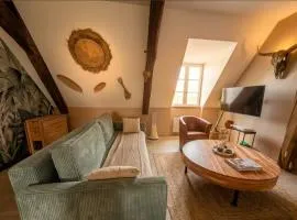 Hôtel particulier du 18ème, T2 rénové avec vue