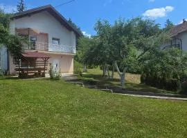 Villa Oaza Zeleni Vir Olovo