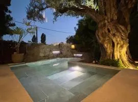 Villa Steana