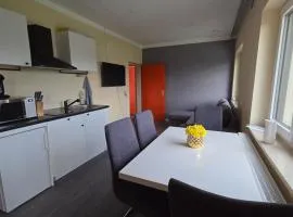 Geräumiges Apartment in ruhiger Lage