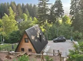 Vikendica Villa Marija Pale