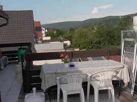 Ferienwohnung mit Klimaanlage für heiße Tage , Riesenbalkon mit Grillmöglichkeit