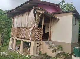 anthurium cabin
