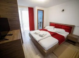 Camere de închiriat Casa Vanatorilor