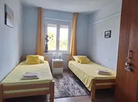 Apartman Dejanović 2