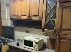 شقه مفروشه 3نوم بالمنيل